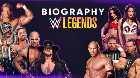 WWE Legends Biography NWO